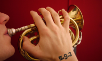 login-593-trompette.jpg