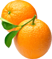 orange_PNG780.png