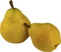 pear_PNG3467.png